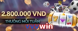 vvvwin